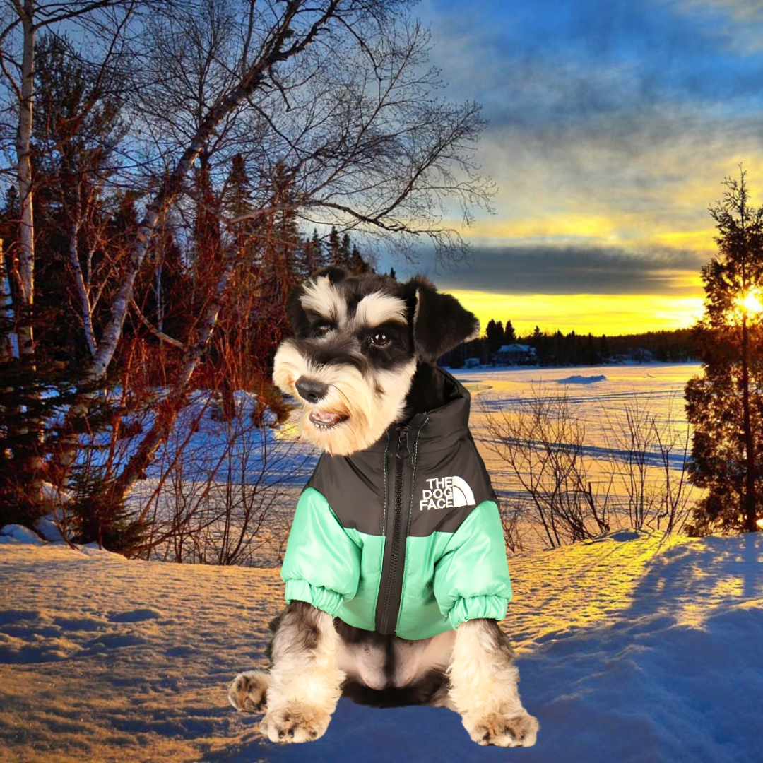 Neperšlampama žieminė striukė šunims