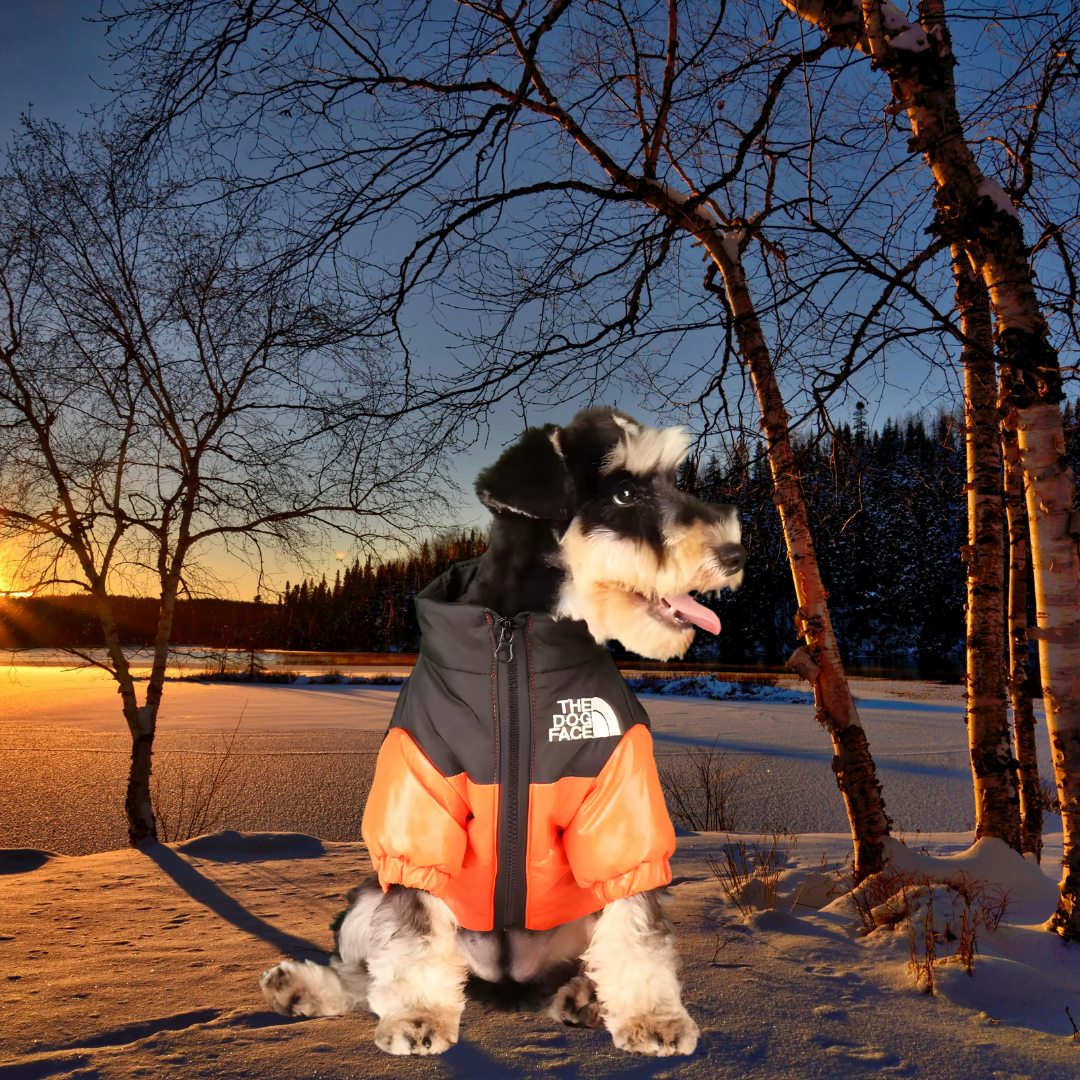 Neperšlampama žieminė striukė šunims